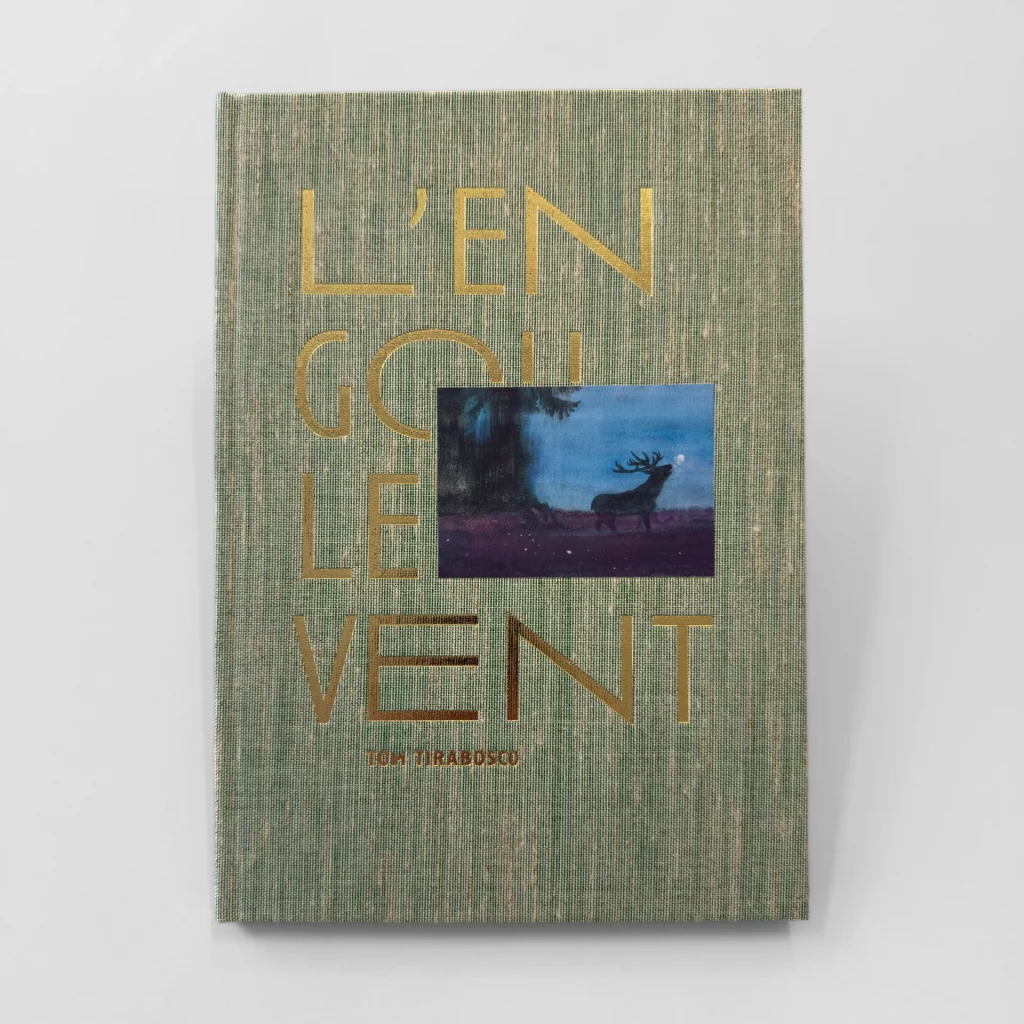 «L'engoulevent», texte et illustrations de Tom Tirabosco, Editions du cadrat, 2026.